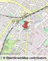 Consulenze Speciali Bergamo,24127Bergamo