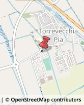 Taxi Torrevecchia Pia,27010Pavia