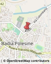 Bulbi e Sementi Badia Polesine,45021Rovigo