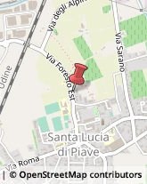 Associazioni ed Istituti di Previdenza ed Assistenza Santa Lucia di Piave,31025Treviso