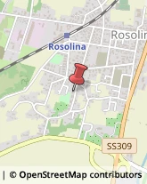 Amplificazione Sonora Rosolina,45010Rovigo