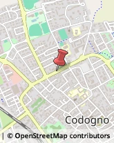 Viale Trieste, 26,26845Codogno