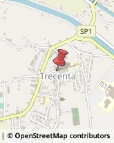 Istituti Finanziari Trecenta,45027Rovigo