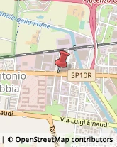 Assicurazioni Piacenza,29100Piacenza