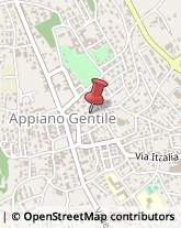 Psicoanalisi - Studi e Centri Appiano Gentile,22070Como
