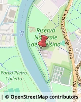 Demolizioni e Scavi ,10132Torino