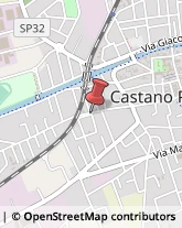 Consulenze Speciali Castano Primo,20022Milano