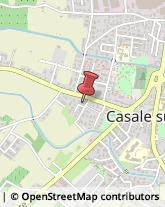 Uccelli Casale sul Sile,31032Treviso