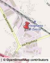 Carrozzerie Autoveicoli Industriali Grisignano di Zocco,36040Vicenza