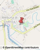 Scuole Pubbliche Meduna di Livenza,31040Treviso