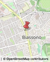 Asili Nido Biassono,20853Monza e Brianza