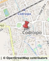 Agenzie Marittime Codroipo,33033Udine