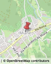 Alimentari Miane,31050Treviso