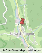 Comuni e Servizi Comunali Selva di Progno,37030Verona