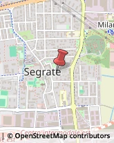 Istituti di Bellezza Segrate,20090Milano