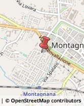 Consulenza di Direzione ed Organizzazione Aziendale Montagnana,35044Padova