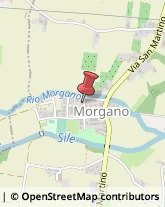 Pavimenti Morgano,31050Treviso