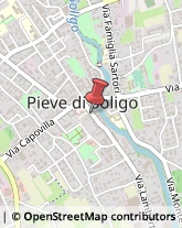 Macellerie Pieve di Soligo,31053Treviso