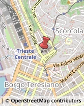 Alcool Trieste,34132Trieste