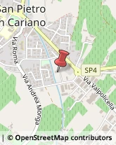 Feste - Organizzazione e Servizi San Pietro in Cariano,37029Verona