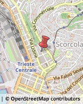 Consulenza alle Imprese e agli Enti Pubblici Trieste,34134Trieste