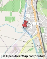 Aziende Agricole Fogliano Redipuglia,34070Gorizia