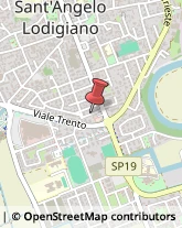 Ospedali Sant'Angelo Lodigiano,26866Lodi