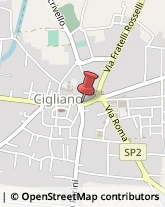 Ristoranti Cigliano,13043Vercelli