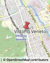 Consulenza alle Imprese e agli Enti Pubblici Vittorio Veneto,31029Treviso