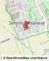 Agenzie Immobiliari Settimo Milanese,20019Milano