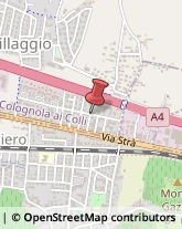 Autotrasporti Colognola ai Colli,37030Verona