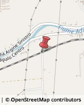 Aziende Agricole,45026Rovigo