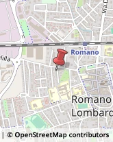 Agenzie Immobiliari Romano di Lombardia,24058Bergamo