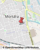 Autotrasporti Mortara,27036Pavia