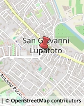 Trasporto Pubblico San Giovanni Lupatoto,37057Verona
