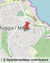 Demolizioni e Scavi Muggia,34015Trieste