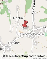 Aziende Agricole Canneto Pavese,27044Pavia