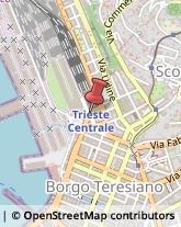 Giornalai,34135Trieste