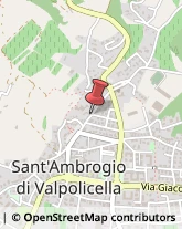 Autotrasporti Sant'Ambrogio di Valpolicella,37010Verona