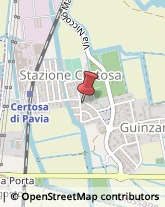 ,27010Pavia