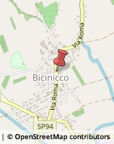 Autotrasporti Bicinicco,33050Udine