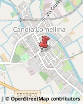 Comuni e Servizi Comunali Candia Lomellina,27031Pavia