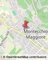 Osteopatia Montecchio Maggiore,36075Vicenza