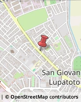 Pollame, Conigli e Selvaggina - Dettaglio San Giovanni Lupatoto,37057Verona