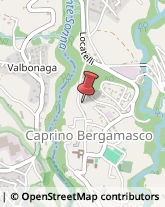 Tappezzieri in Carta Caprino Bergamasco,24030Bergamo