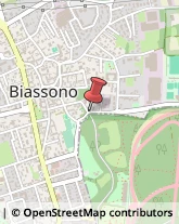 Piastrelle per Rivestimenti e Pavimenti Biassono,20853Monza e Brianza