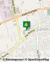 Feste - Organizzazione e Servizi Galliera Veneta,35015Padova