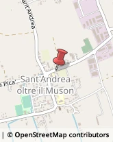 Scuole Pubbliche,31033Treviso