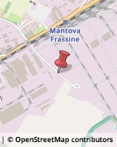 Autofficine e Centri Assistenza,46100Mantova