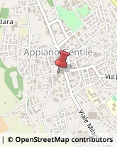 Sartorie Appiano Gentile,22070Como